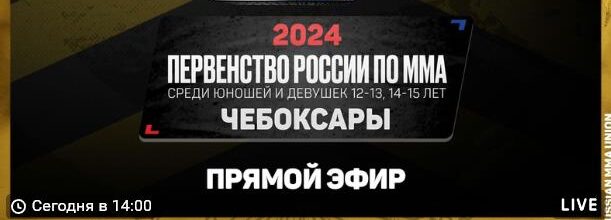 Первенство России по ММА 2024 — Чебоксары
